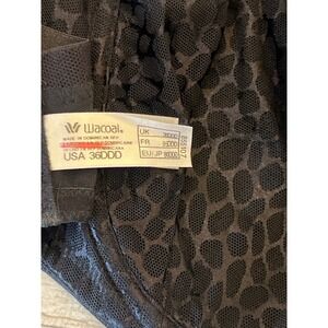Wacoal Alluring Full Figure Underiwre Bra Black 36DDD 855107 Lace Mesh